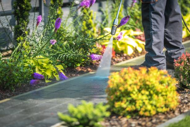 Best Residential Pressure Washing in Roaring Spring, PA